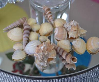 Wedding  Decorative Natural Shells - Mixed Pack 100g Image 1