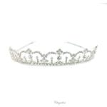 Chrysalini Crystal Bridal Crown, Wedding Tiara - T4297 image