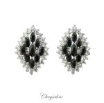 Bridal Jewellery, Chrysalini Wedding Earrings with Crystals - XPE065 image
