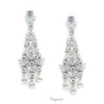 Bridal Jewellery, Chrysalini Wedding Earrings with Crystals - BAE0111 image