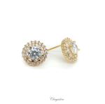 Bridal Jewellery, Chrysalini Wedding Earrings with Crystals - BAE0145 image