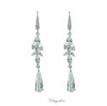 Bridal Jewellery, Chrysalini Wedding Earrings with Crystals - BAE1555 image