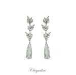 Bridal Jewellery, Chrysalini Wedding Earrings with Crystals - BE87287 image