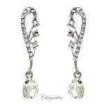 Bridal Jewellery, Chrysalini Wedding Earrings with Crystals - DE43091 image