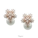 Bridal Jewellery, Chrysalini Wedding Earrings with Pearls - BAE0091 image