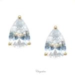 Bridal Jewellery, Chrysalini Wedding Earrings Rose Gold - BAE0016 image