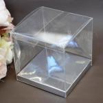 Clear PVC Boxes with silver base 5cm x 5cm image