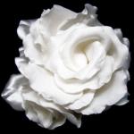 Satin Rosette Hairpiece - White image