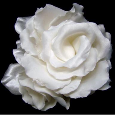 Wedding  Satin Rosette Hairpiece - Ivory Image 1